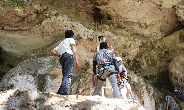 Βραχογραφία 44.000 ετών ανακαλύφθηκε σε σπήλαιο: Η αρχαιότερη σκηνή κυνηγιού στον κόσμο