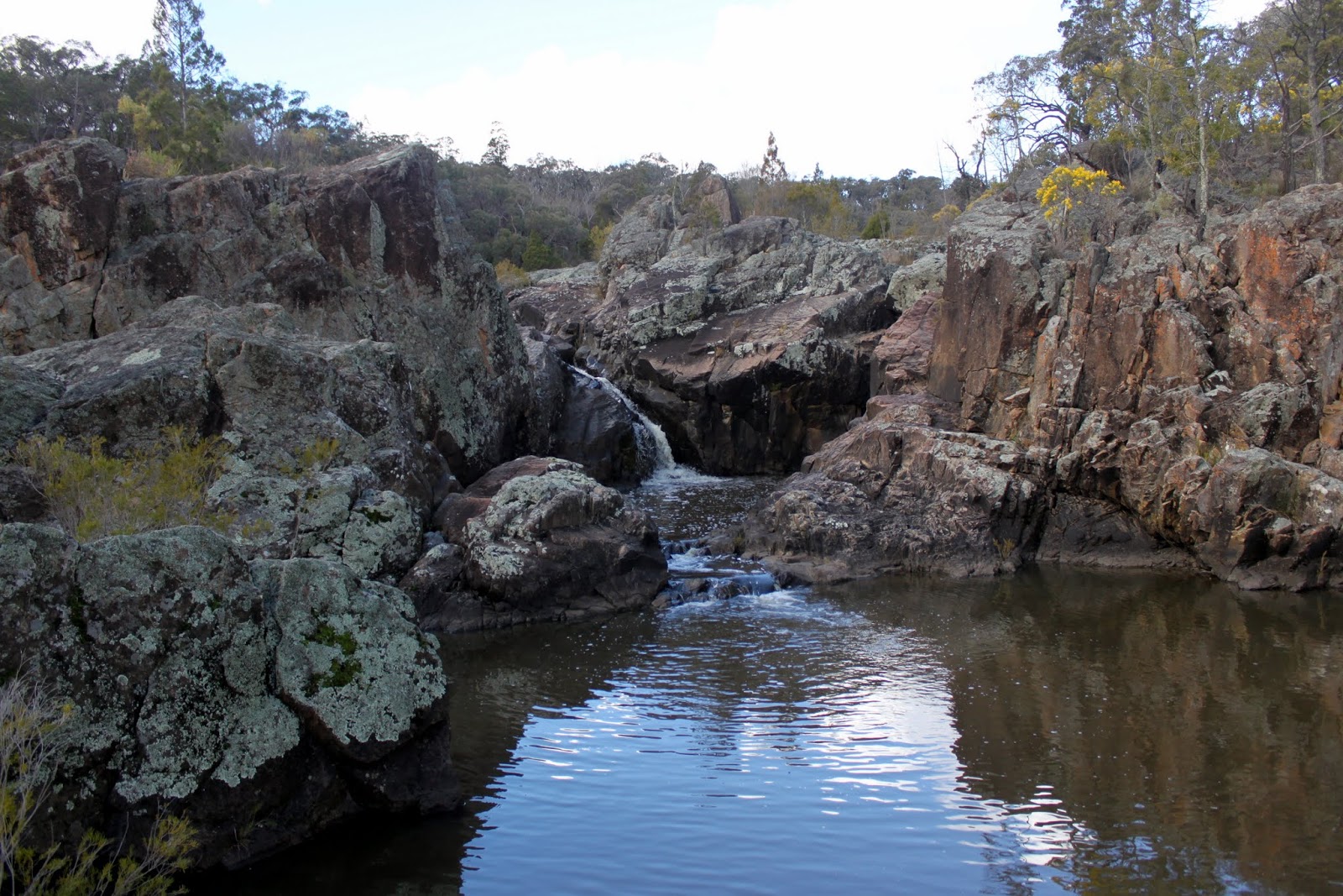 NSW National Parks Quest Kings Plains National Park