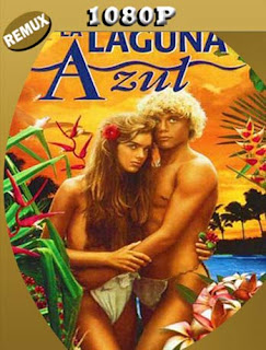 La Laguna Azul (1980) REMUX [1080p] Latino [GoogleDrive] SXGO