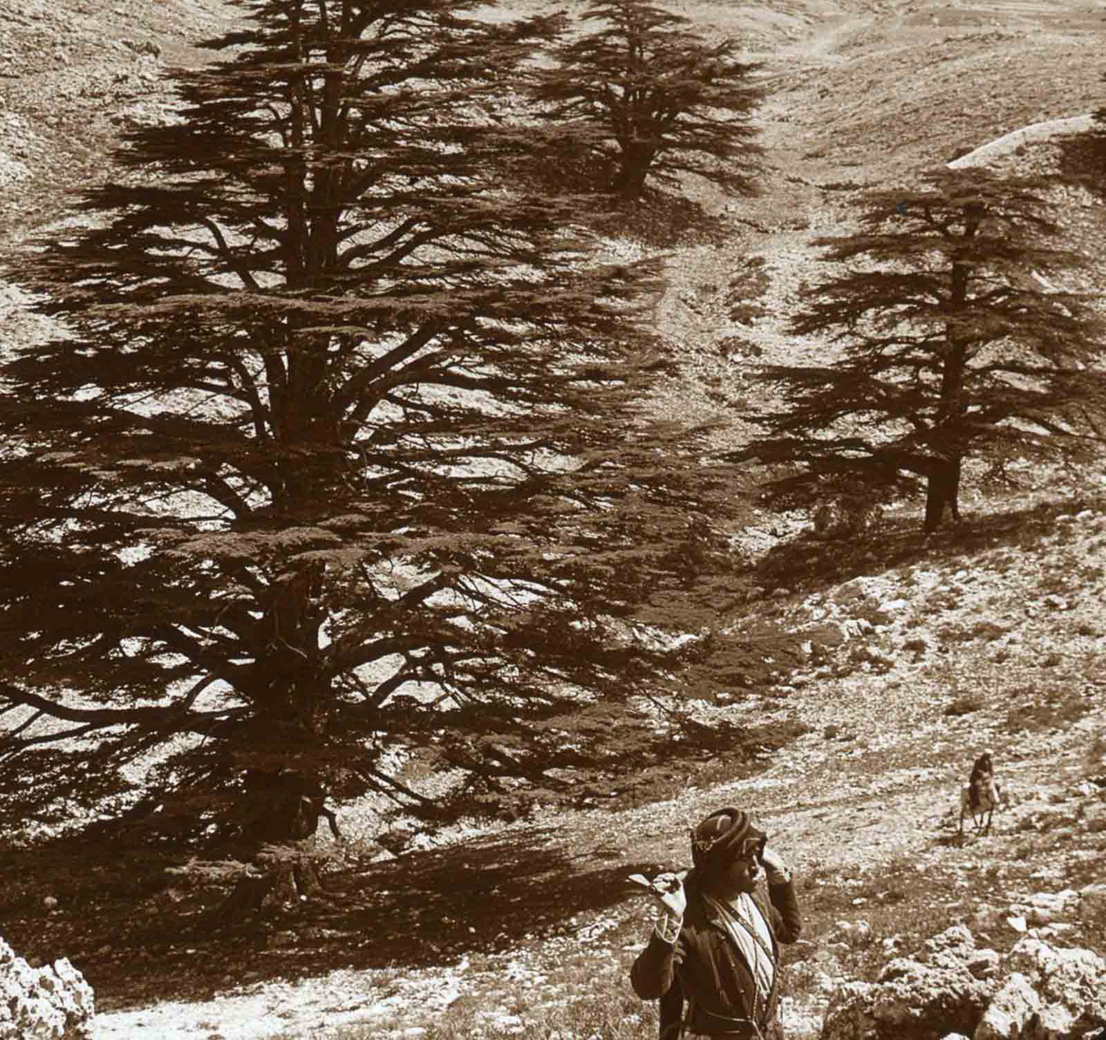 mountains holy land old photographs