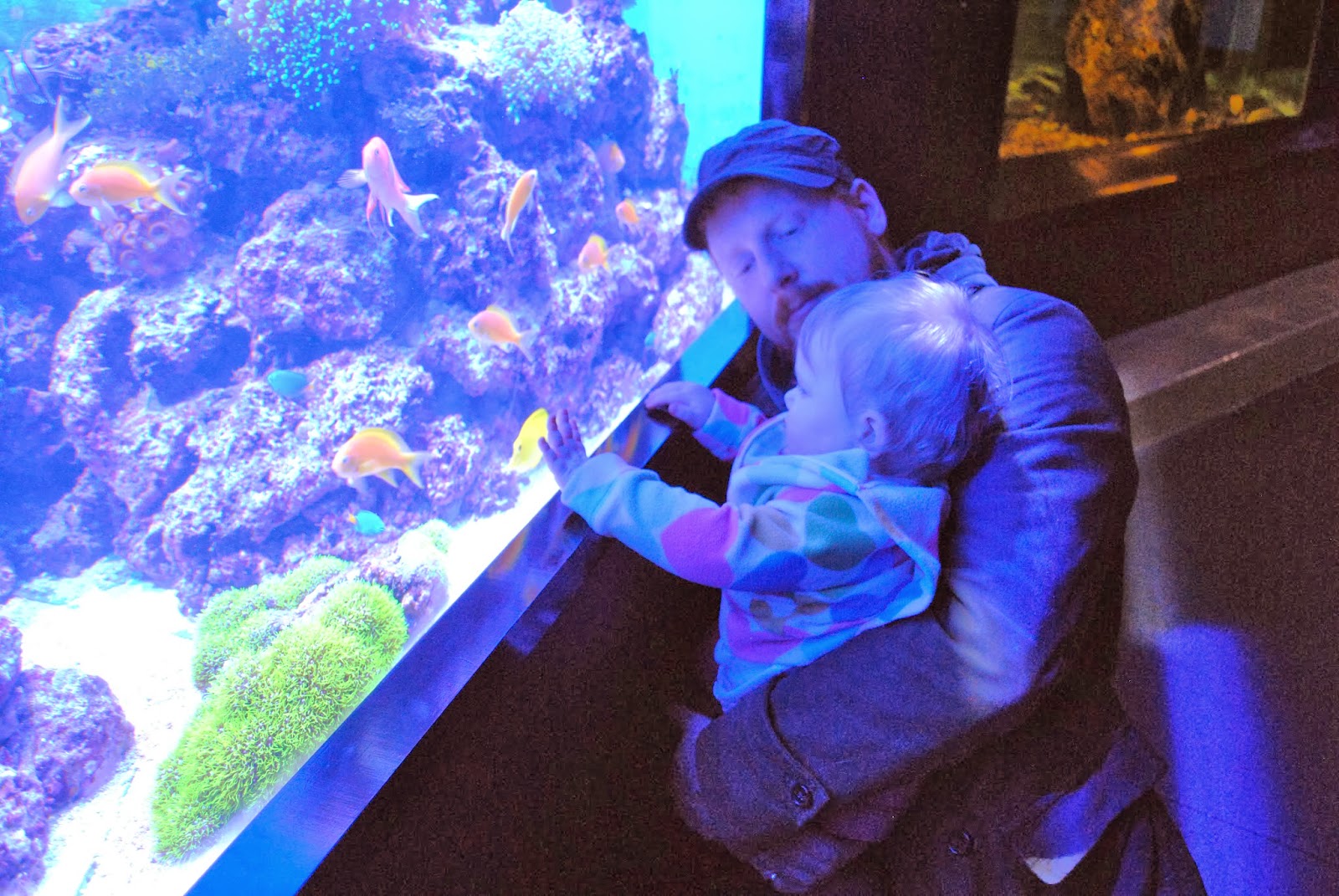 Buffalo Belle Aquarium of Niagara