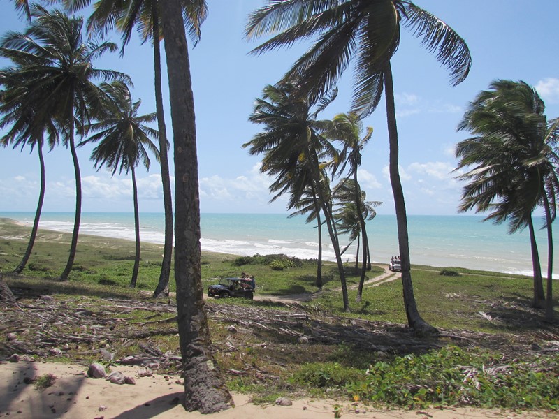 Tem que ir: Baía Formosa - RN: Todas as dicas