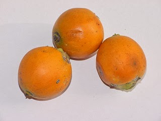 khasiat buah pinang