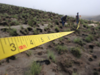 Tape measure extended diagonally across a barren landscape