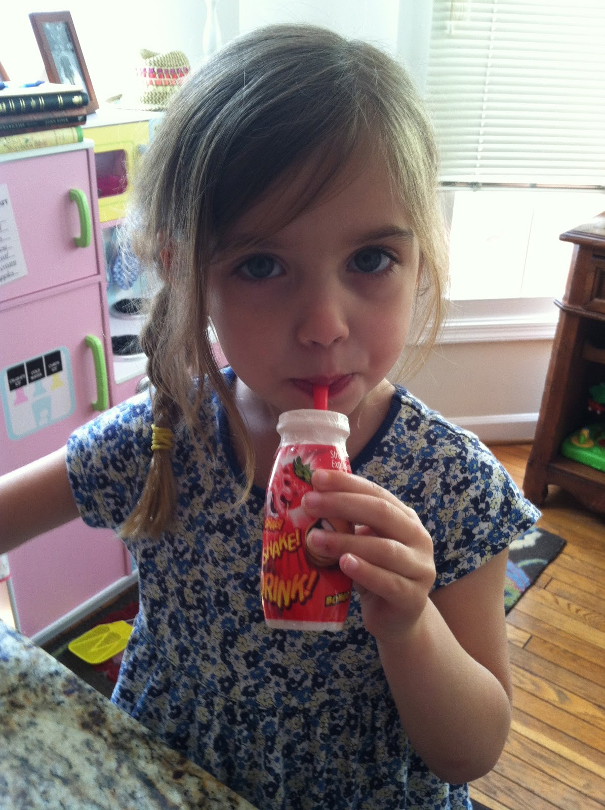 Our Family Circus Homemade Yogurt Drinks