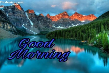 Cute Good Morning Images for Whatsapp | Best 21 Cute Good morning Photo Cute Good Morning Images for Whatsapp | Best 21 Cute Good morning Photo