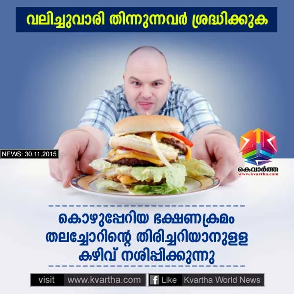 There’s more to high-fat diet than that they make you obese. They also cause cognitive impairment by prompting immune cells in the brain to consume the connections 