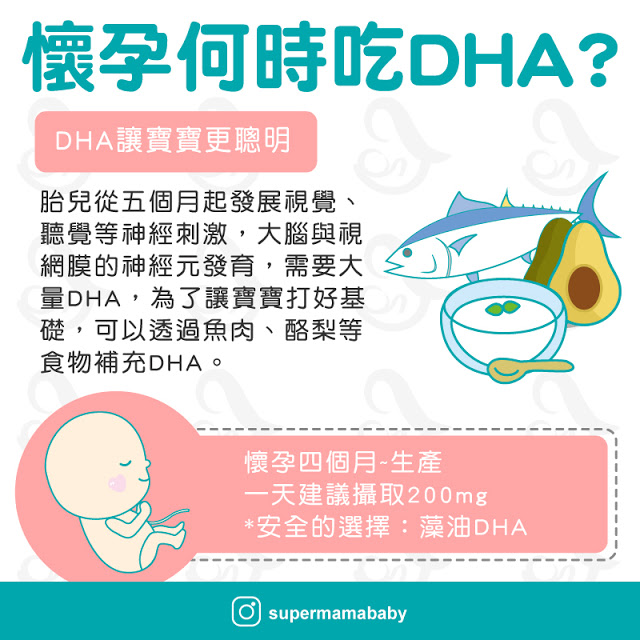 懷孕何時吃DHA？魚油、藻油應該選擇哪一個？