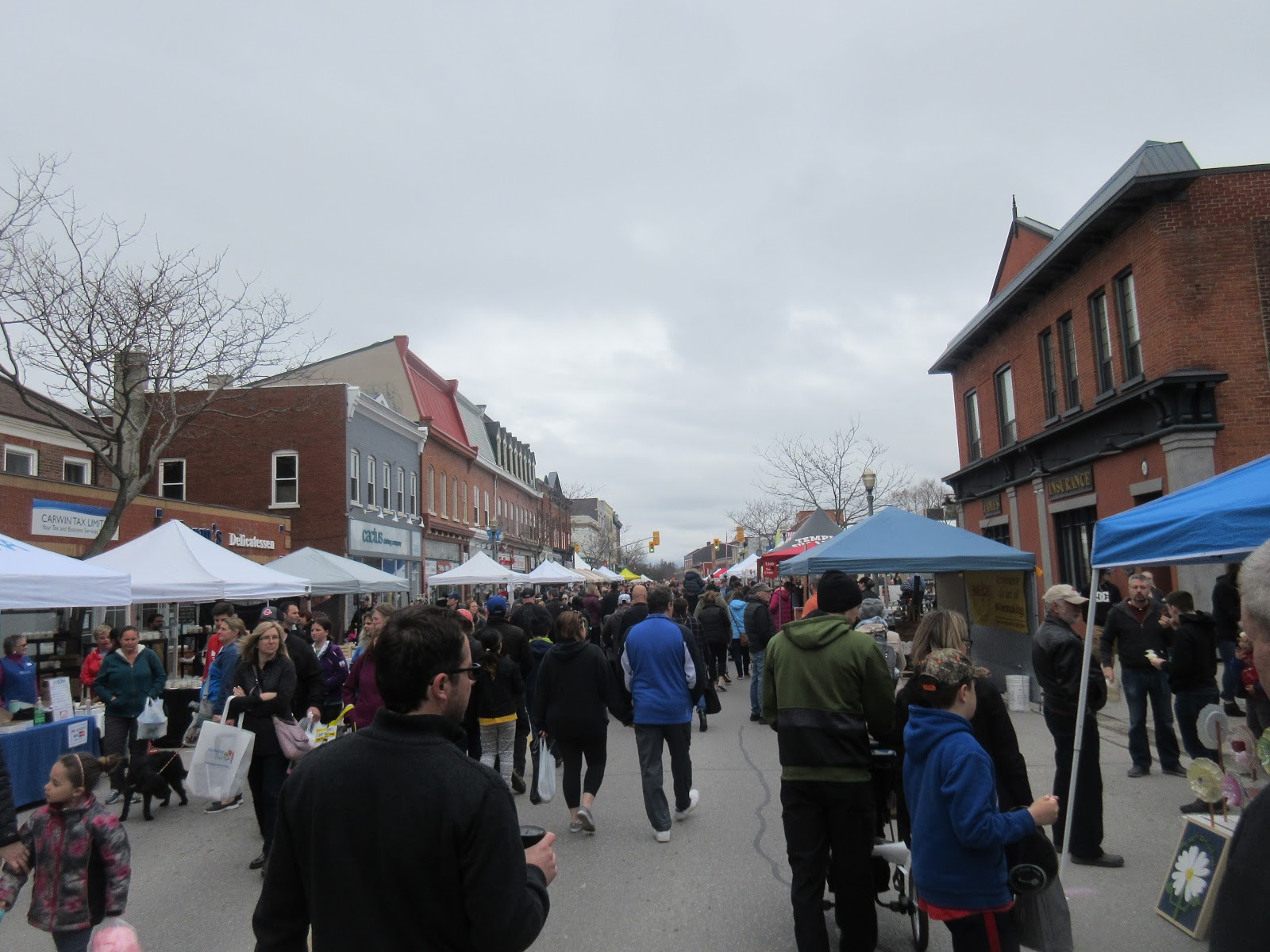 Chris B On The  "An Entertainment site Since 2014!" Maple