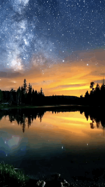 tumblr_c6bf148f70b65eced8d33256d8a32e29_e771e6a2_500.gif