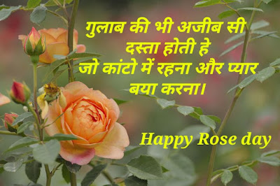 Rose Day Shayari