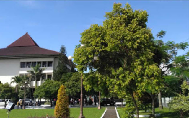 10+ Universitas dengan Jurusan Manajemen Bisnis Terbaik di Indonesia Universitas Jenderal Soedirman