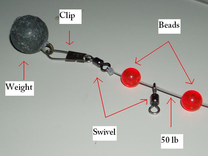 Halibut Fishing Halibut Fishing at Berkeley