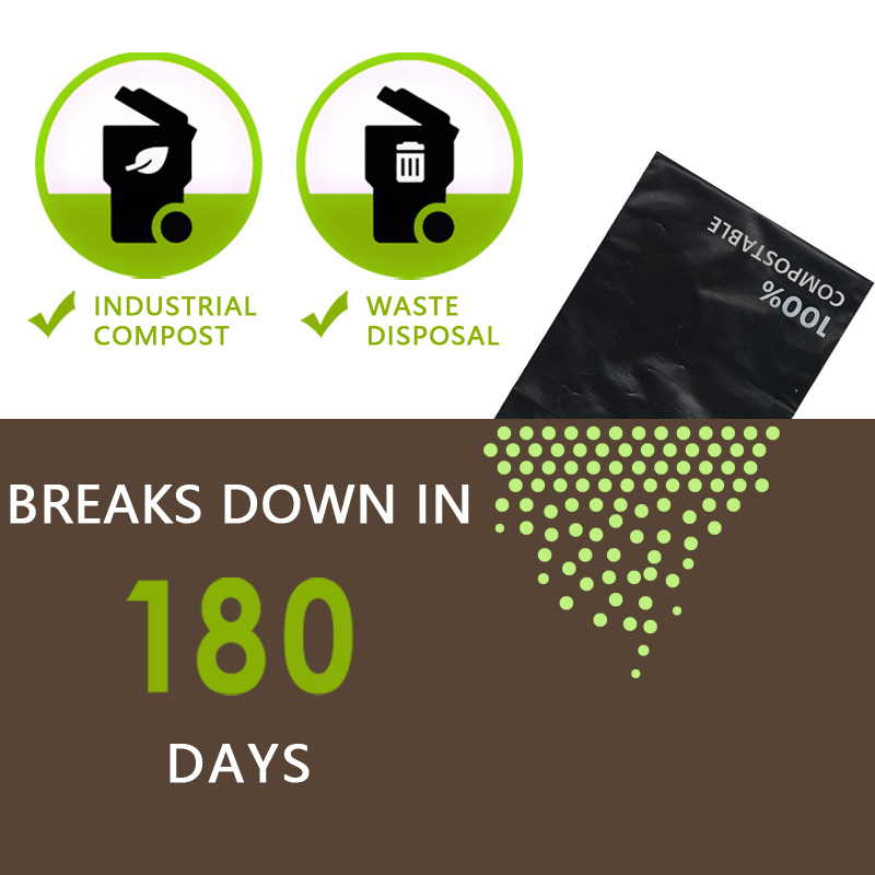 100 Biodegradable Mailers Bags HighQuality Sustainable Pack