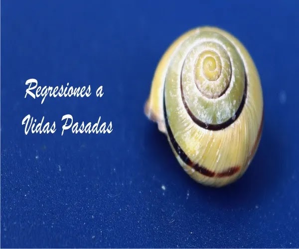 regresiones a vidas pasadas