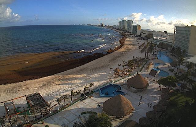 I Love Cancun realizó un recorrido por las principales playas con sargazo