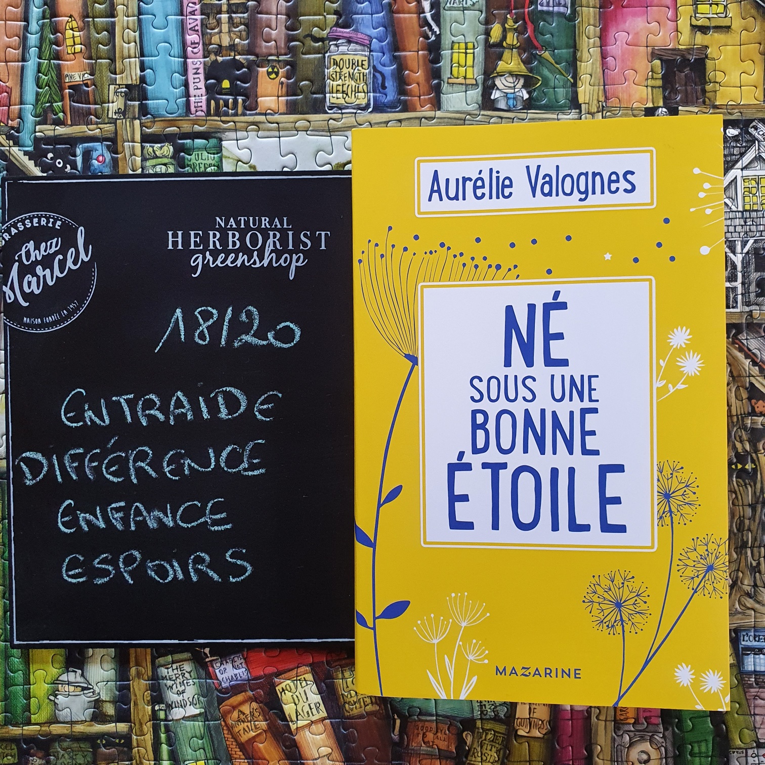 Les lectures de Mylène Né sous une bonne étoile de Aurélie Valognes