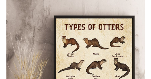 HOTTEST Types of otters poster