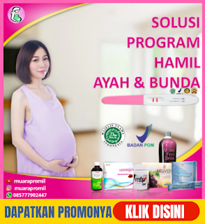 Paket Herbal Bee