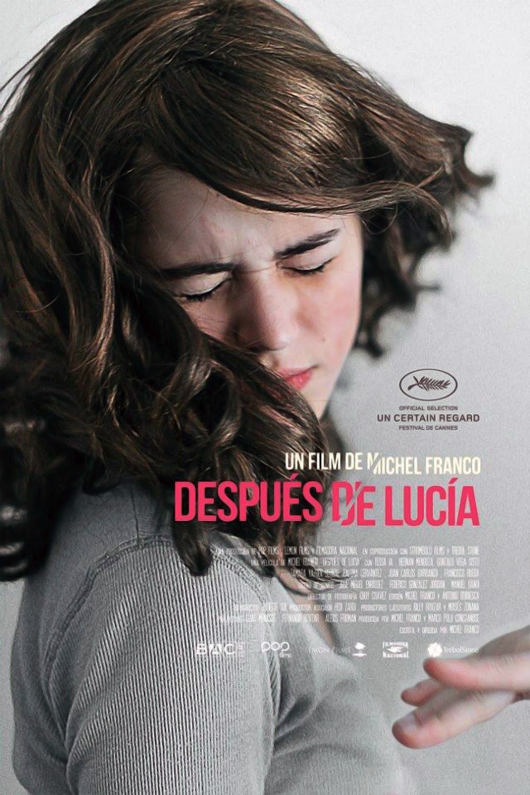 104 – Depois de Lúcia (Después de Lucia) – México (2012)