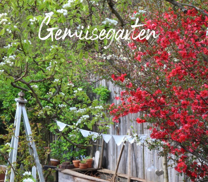 Tante Malis Gartenblog