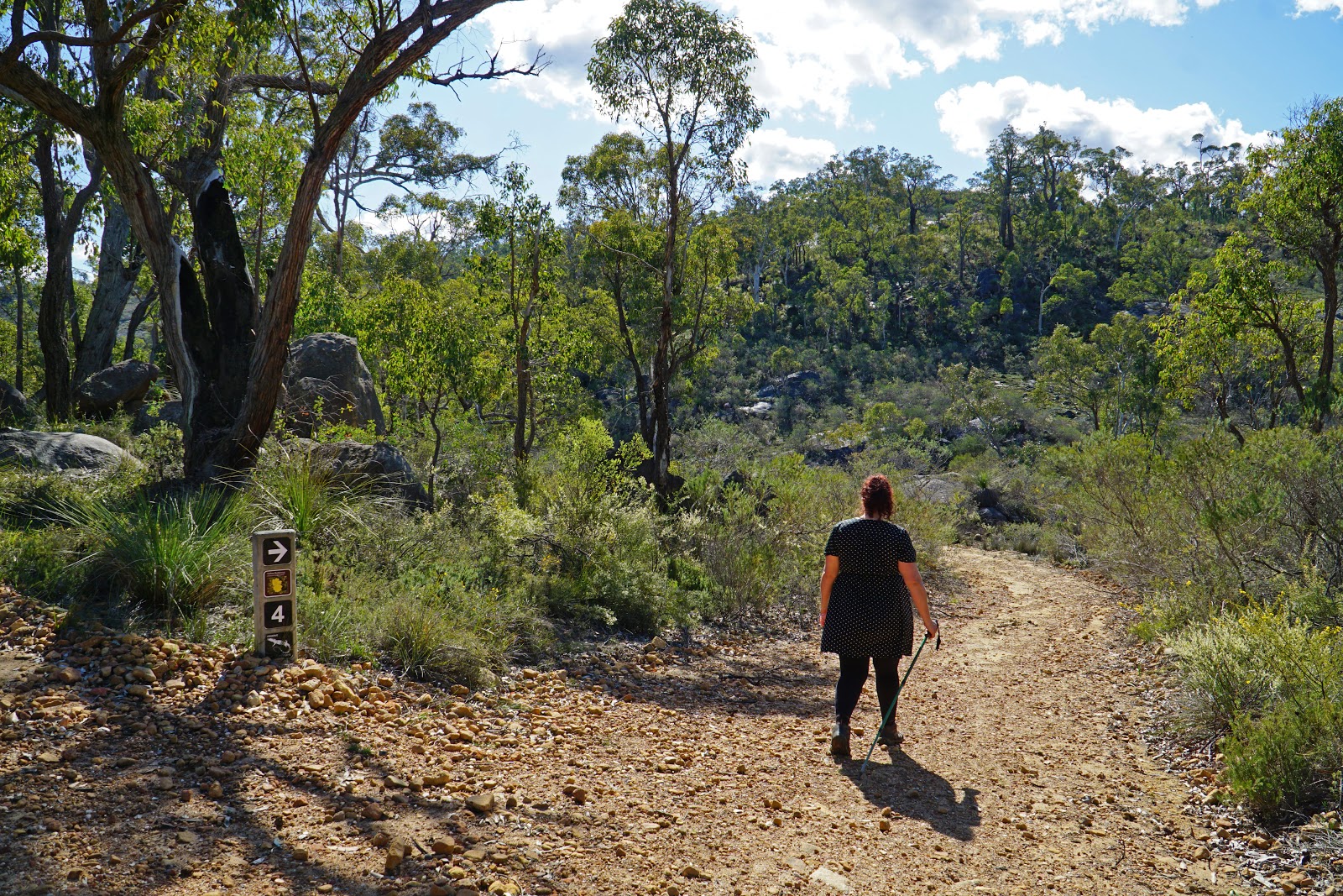 FR Berry Walk Trail (FR Berry Reserve) The Long Way's Better