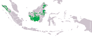 Orangutanların dağılım haritası