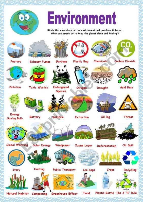 Environmental issues in 2021