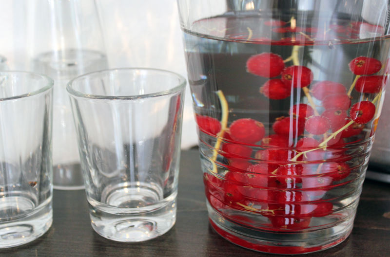 Ocelot Berlin Ocelot Berlin