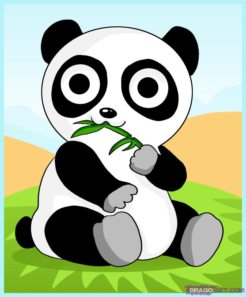gambar panda - gambar panda comel