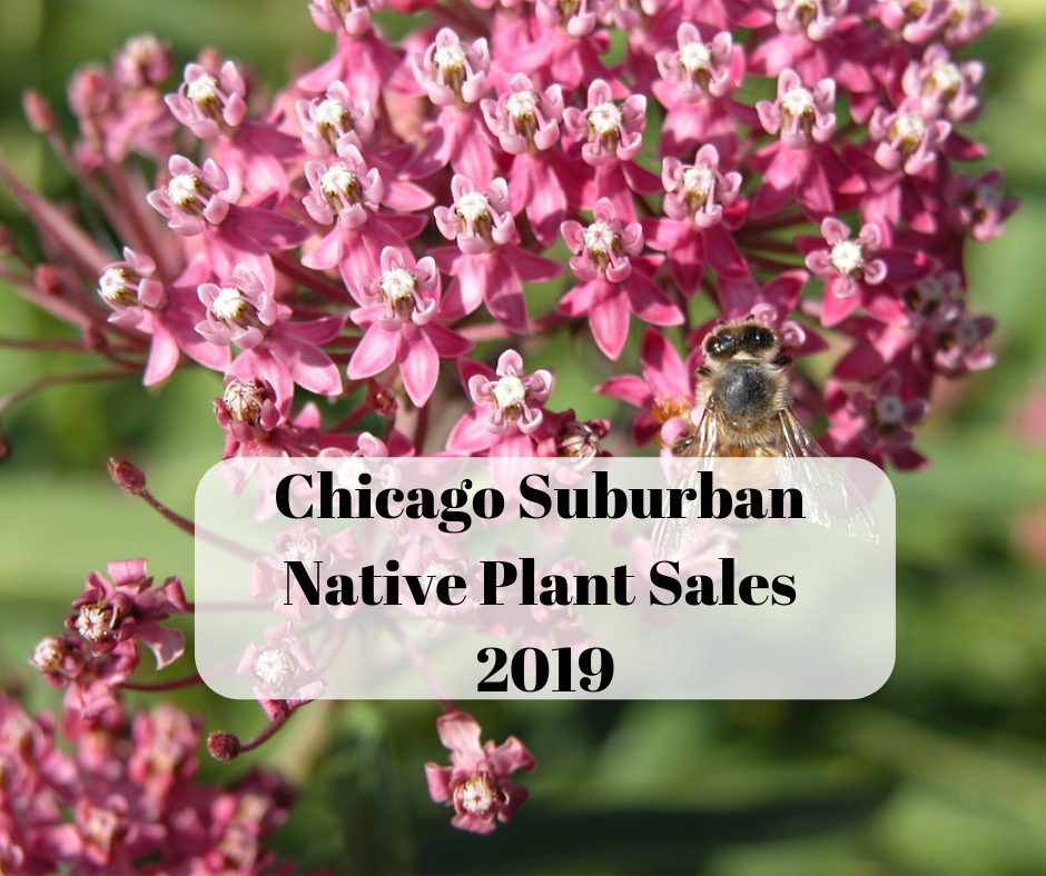 A Little Time and a Keyboard 2019 Native Plant Sales in the Chicago