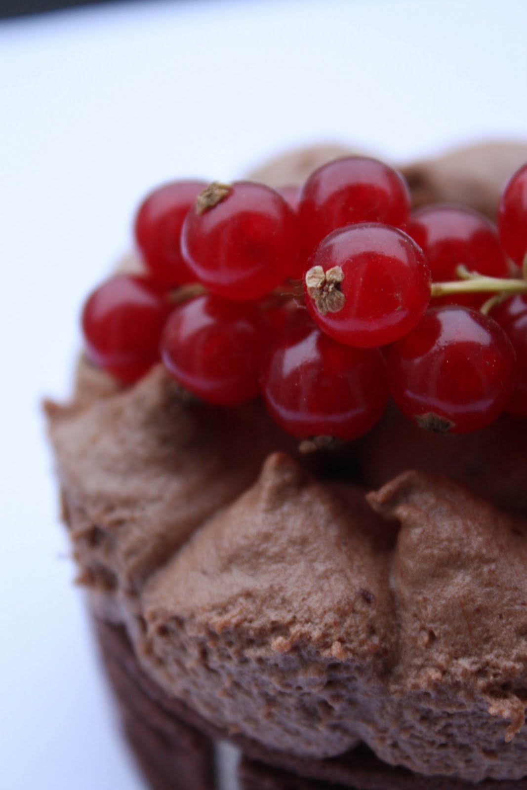 Traum-Törtchen: Schokoladen-Törtchen Traum-Törtchen: Schokoladen-Törtchen