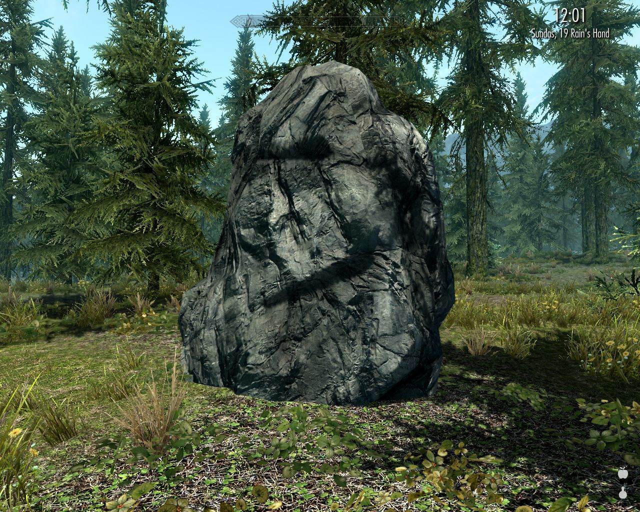 peculiar big gray rock on a grassy ground in a spruce forest