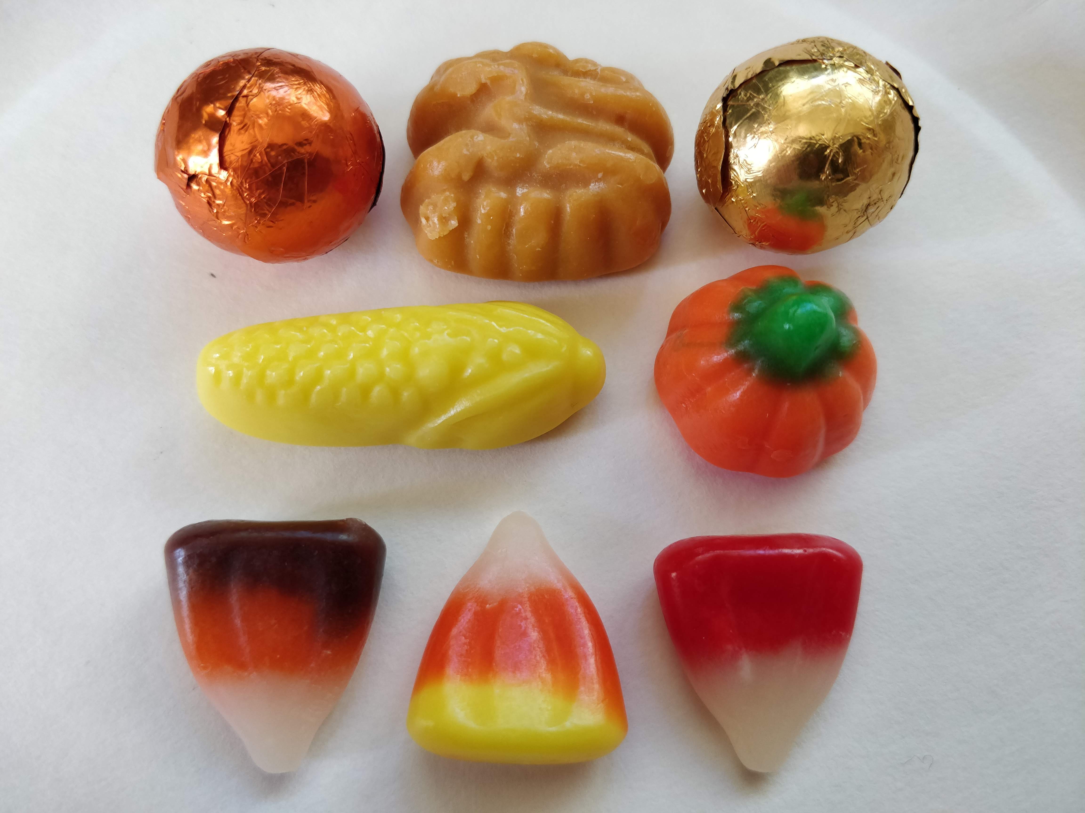 Petrichor & Pumpkins Jelly Belly Harvest Selection
