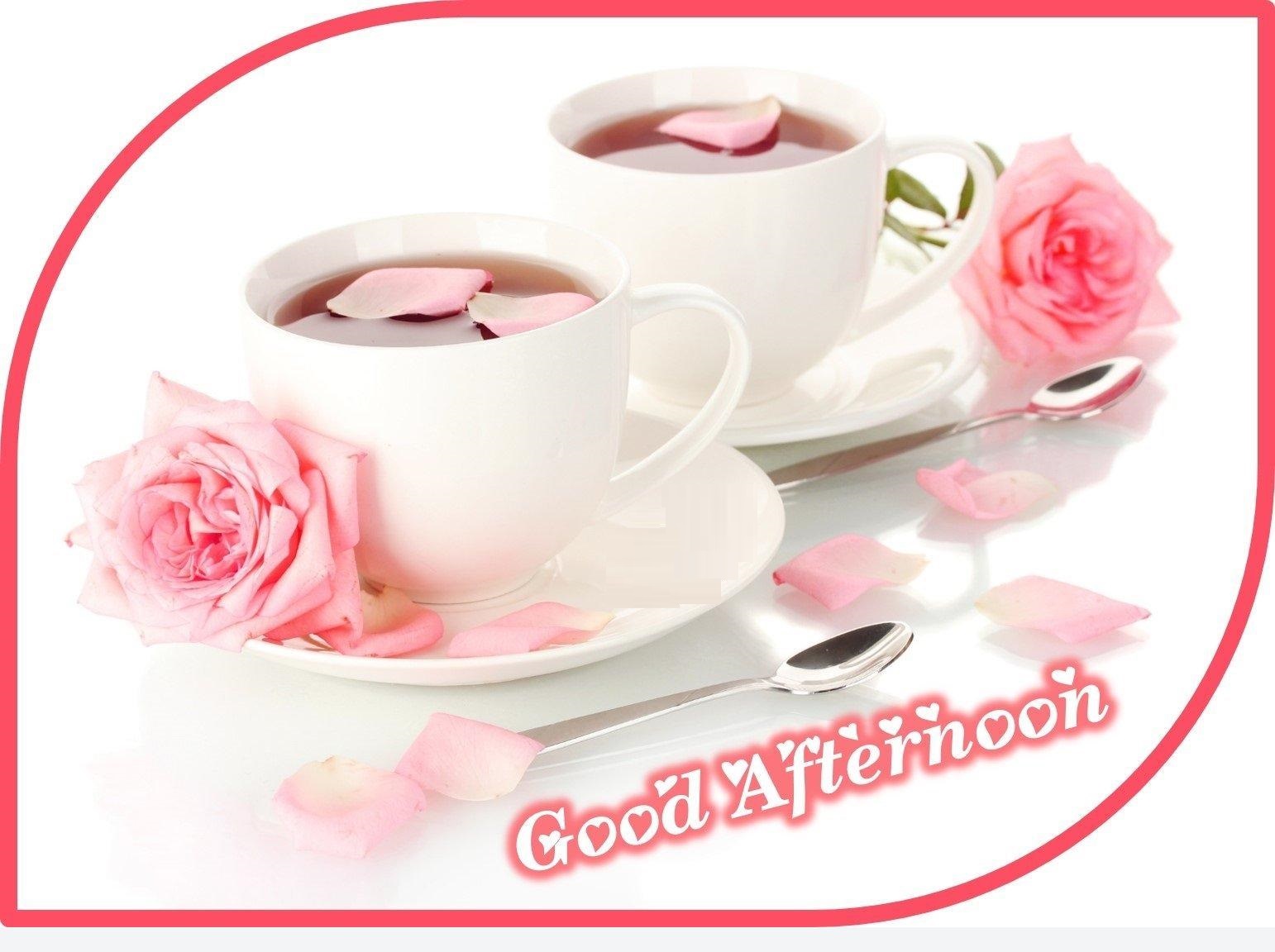 images hi images shayari good afternoon hd image 2017