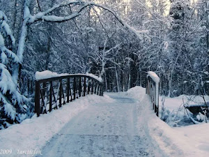 Sfondo-invernale-desktop-132