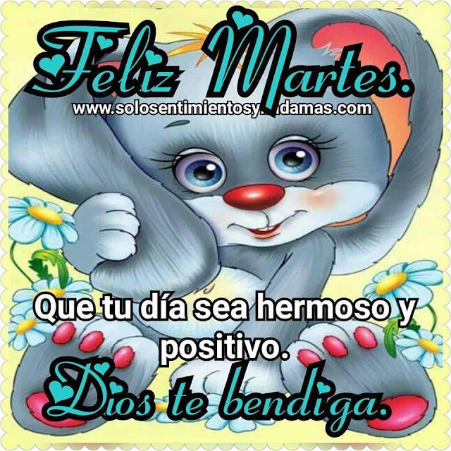 Feliz martes.