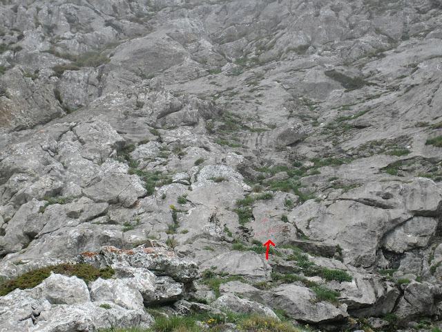 Inicio de la ascensión a la Mesa