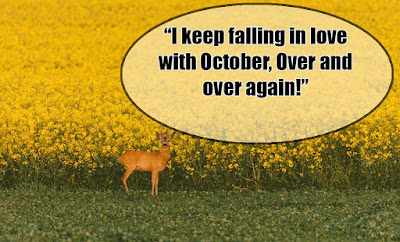 October quotes - quotes about October - quotes for Octobers
