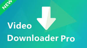 instal the new for android Any Video Downloader Pro 8.5.10 instal the new for android Any Video Downloader Pro 8.5.10