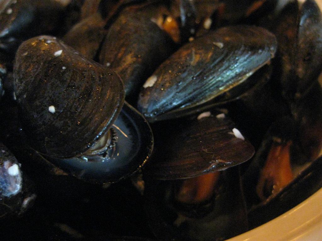 BM's Favorites The Bluestone Bistro