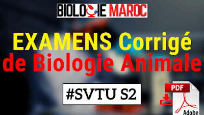 EXAMENS Corrigés de Biologie Animale SVT S2 PDF | SVTU SVI STU