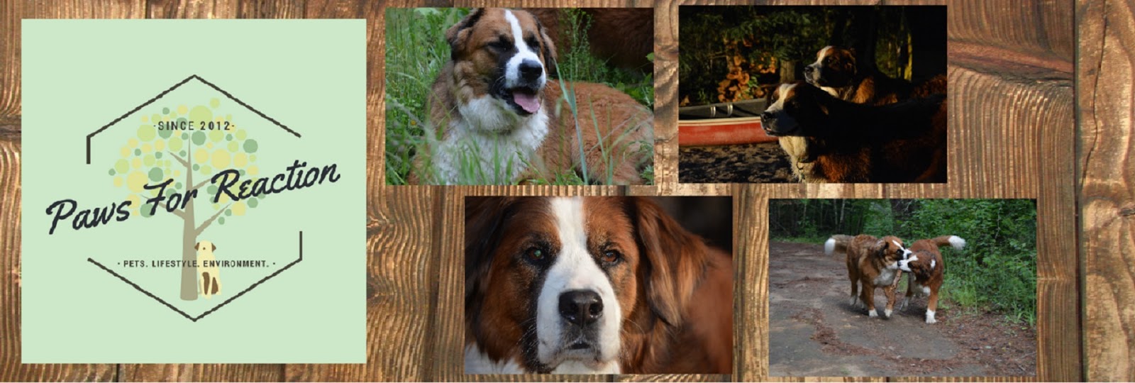Paws For Reaction homepage