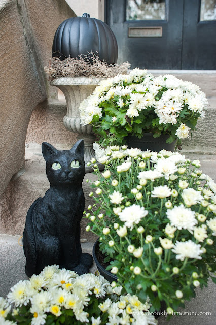 Using a few trashed treasures and store bought elements this Witch Halloween Themed Front Porch will amaze you