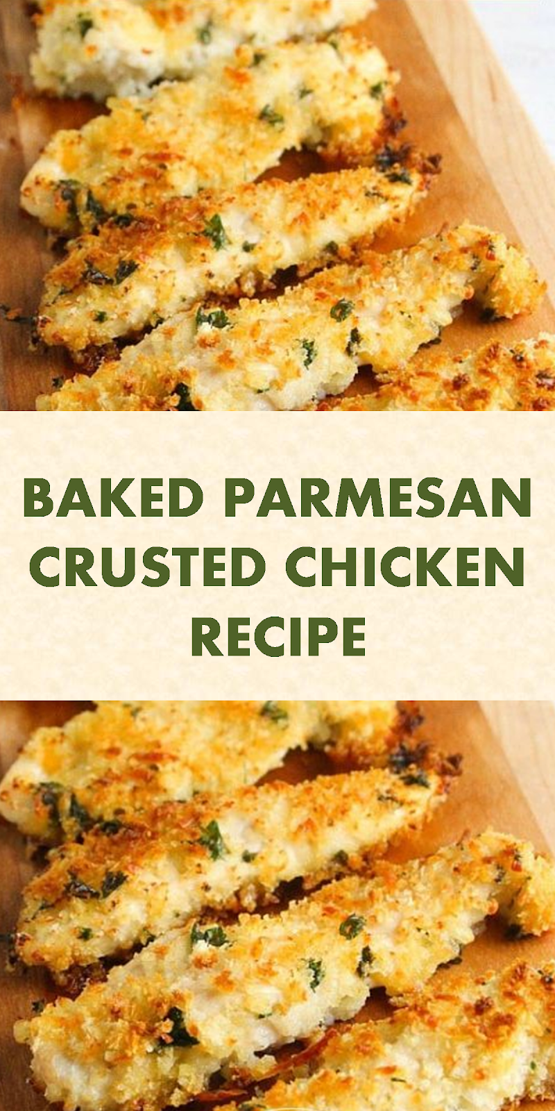 TOP BAKED PARMESAN CRUSTED CHICKEN RECIPE Recipes Update