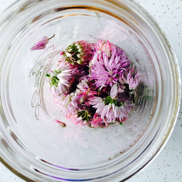 Chive Flower Vinegar Recipe MrBrownThumb