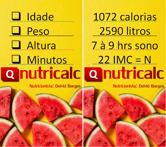 Calculadora Nutricionista - Nutricalc 2.10 Figura – Tela de Consultas | Exemplo de funcionalidade do App Calculadora Nutricionista.