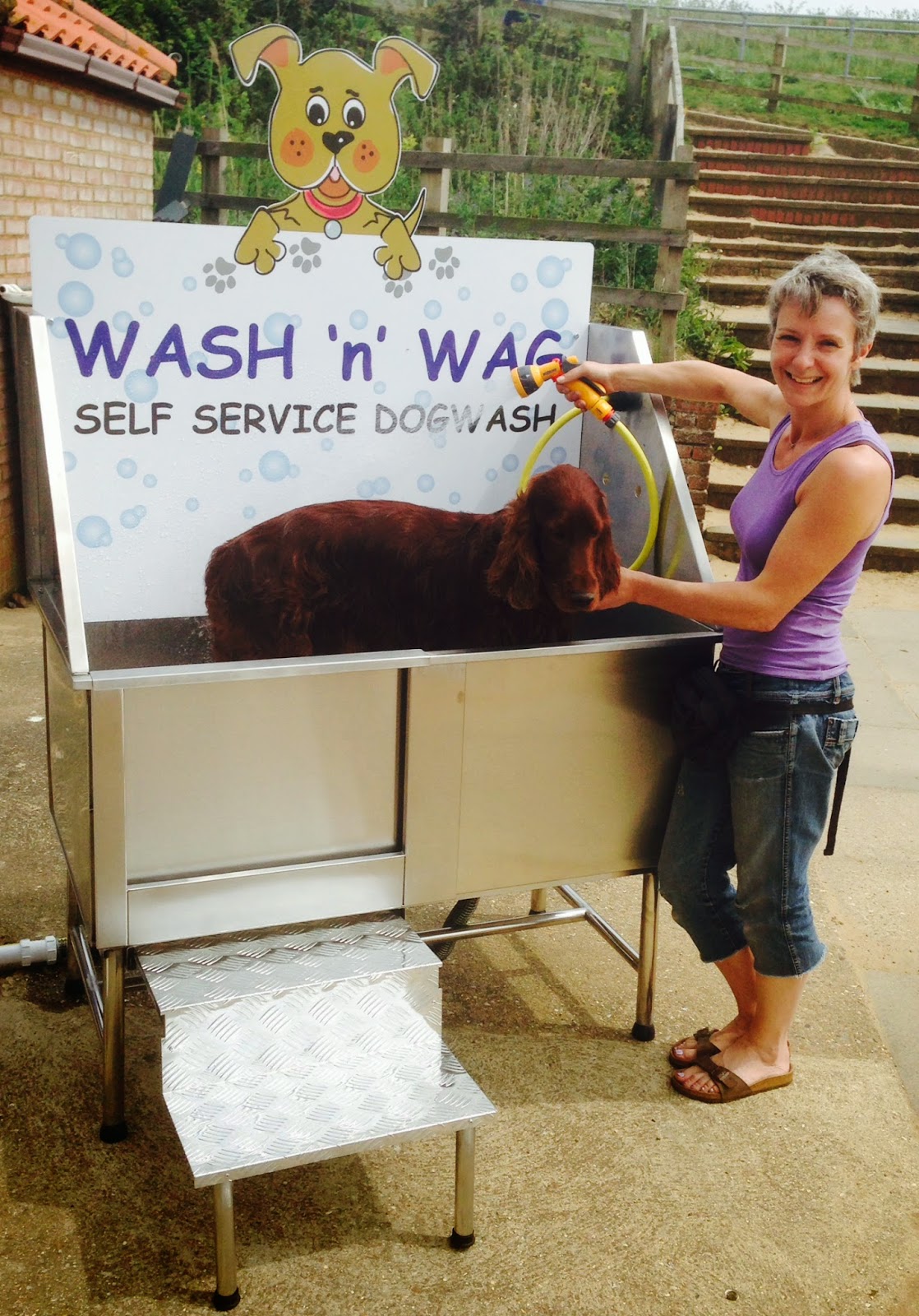 Great Cafes Wash N Wag