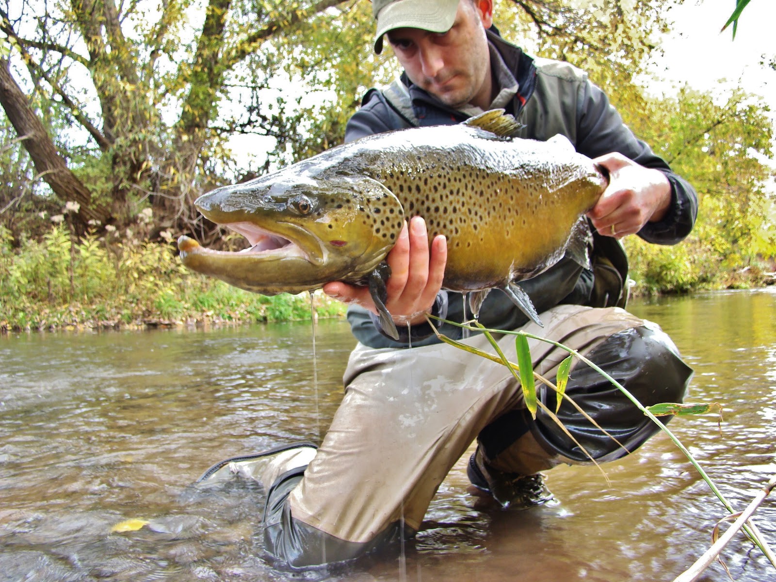 The River Damsel Fly Fishing With Kids Sunday Tippets