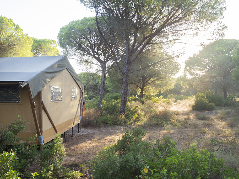 Jabalina Country Tents: Glamping en la Dehesa de las Yeguas de Cádiz_28